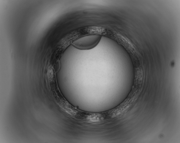 X0000100190761200806061258