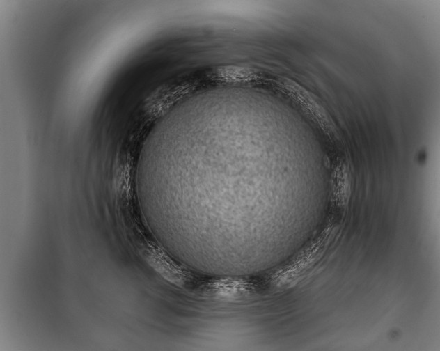 X0000100190762200806061258