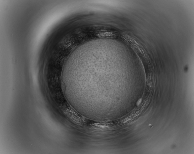 X0000100190763200806061258