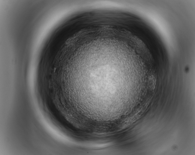 X0000100190765200806061258