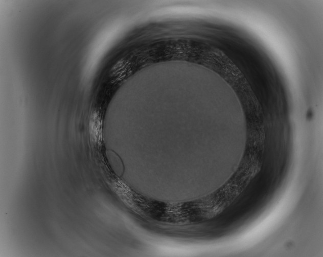 X0000100190766200806061258