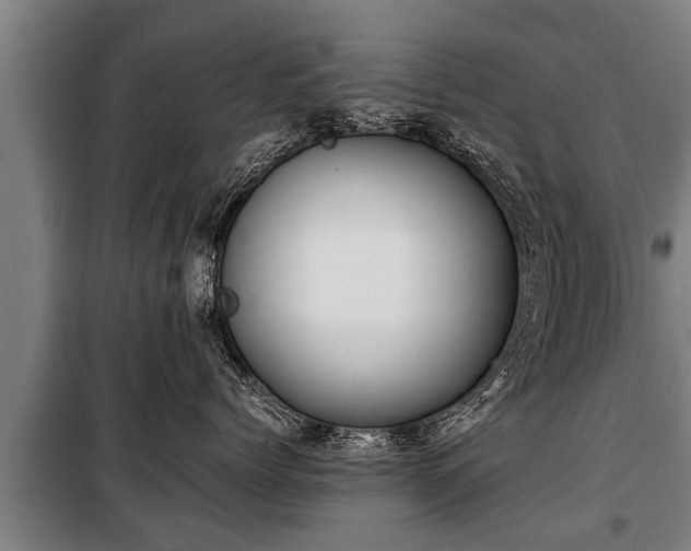 X0000100190768200806061258