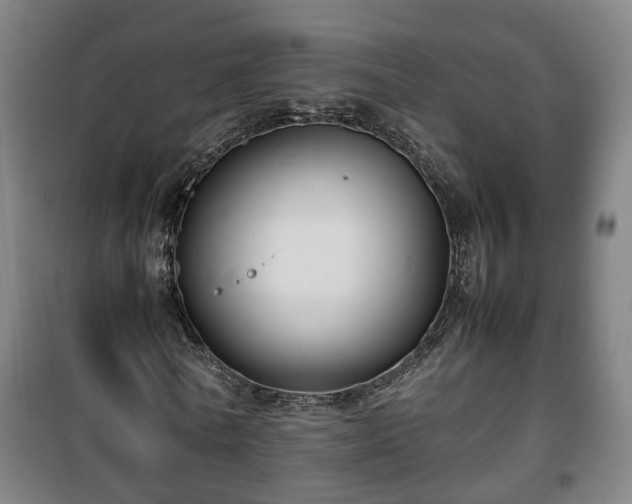 X0000100190770200806061257