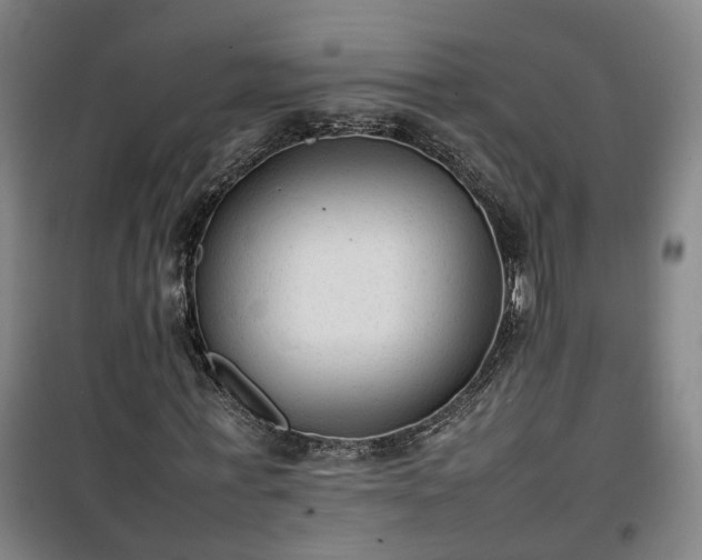 X0000100190771200806061257