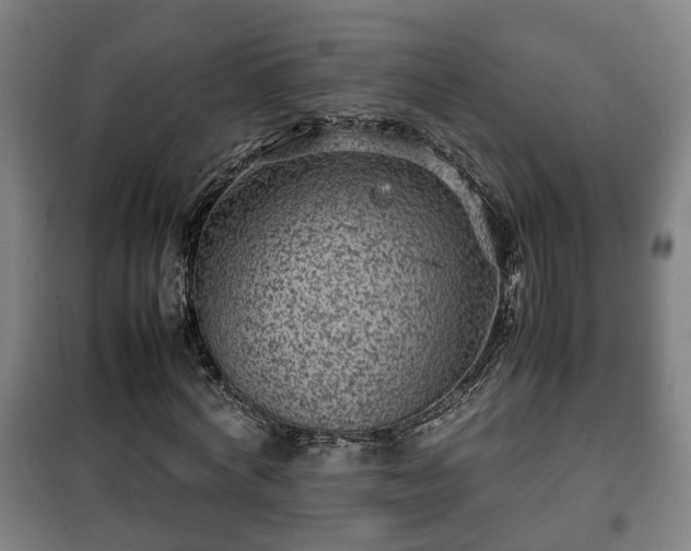 X0000100190772200806061257