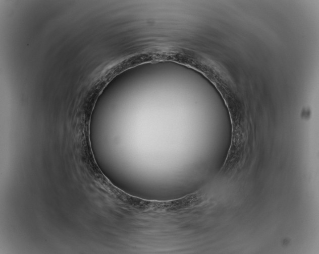 X0000100190773200806061257