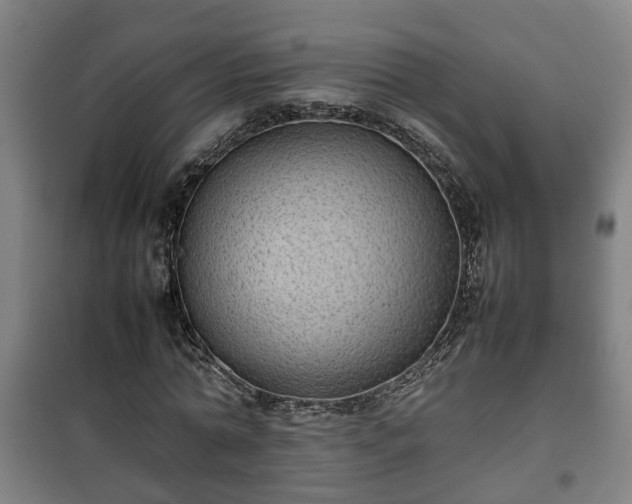 X0000100190774200806061257