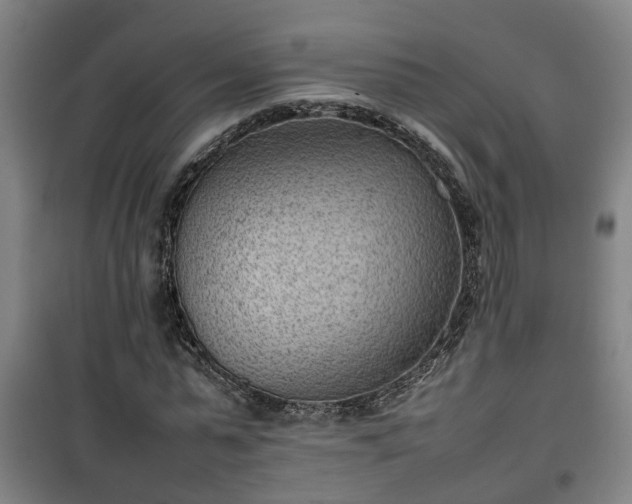 X0000100190775200806061257