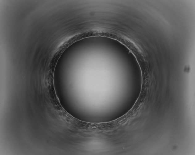 X0000100190776200806061257