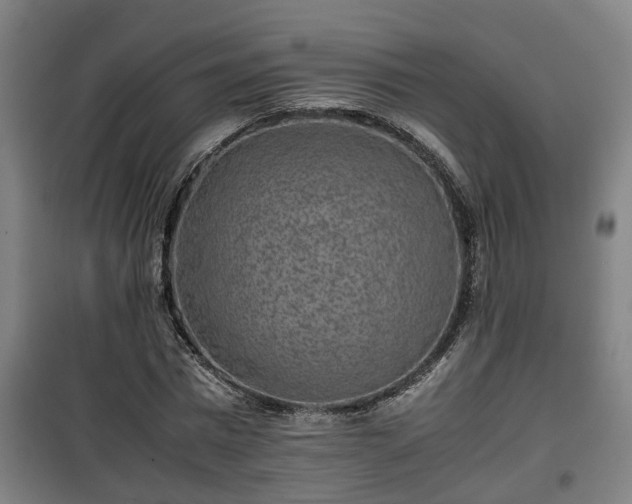 X0000100190777200806061257