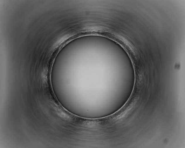 X0000100190778200806061257