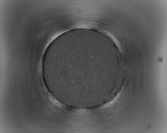 X0000100190779200806061257