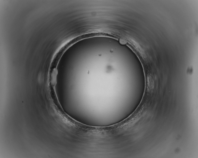 X0000100190780200806061257