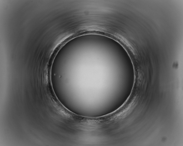 X0000100190782200806061257