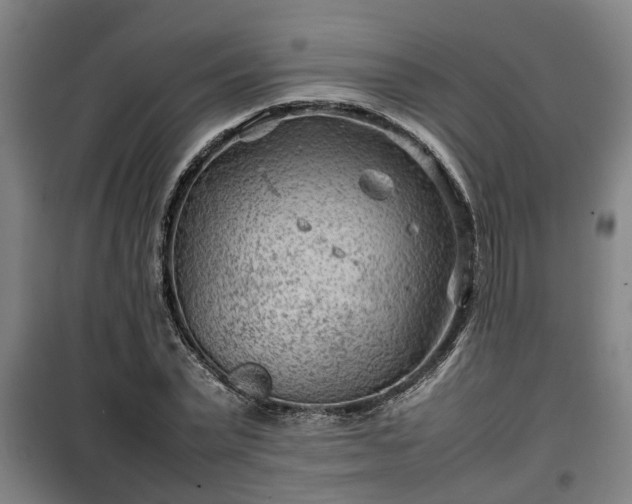 X0000100190783200806061257