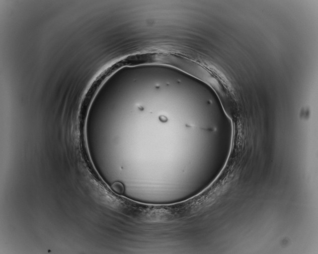 X0000100190784200806061257