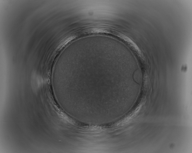 X0000100190785200806061257