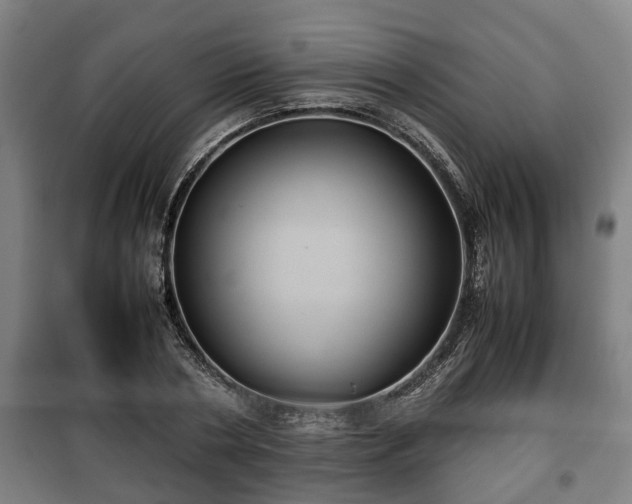 X0000100190786200806061257