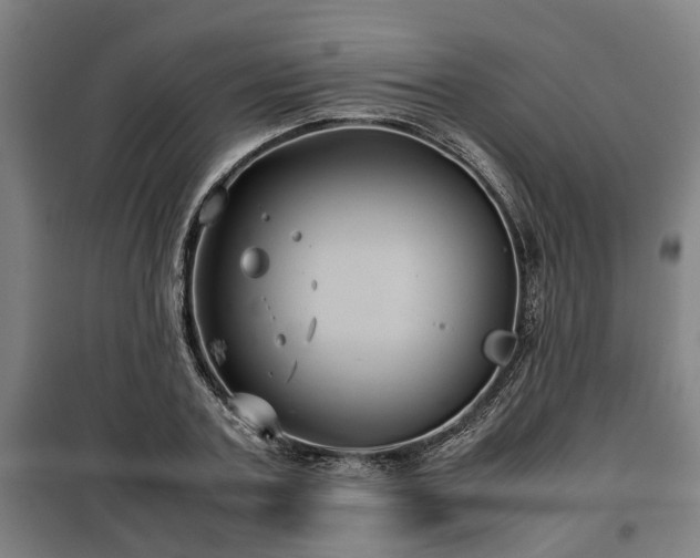 X0000100190787200806061257