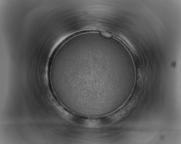 X0000100190788200806061257