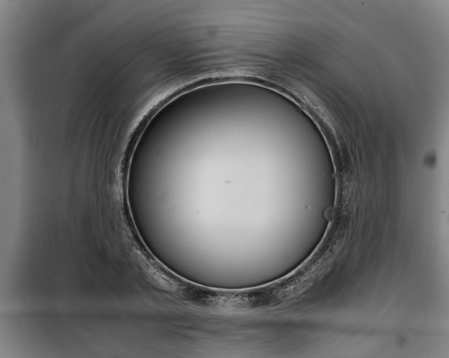 X0000100190789200806061257