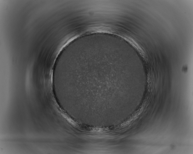 X0000100190790200806061257