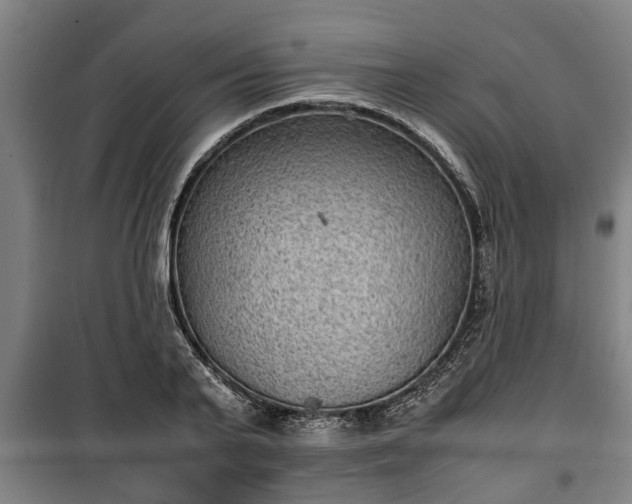 X0000100190791200806061257