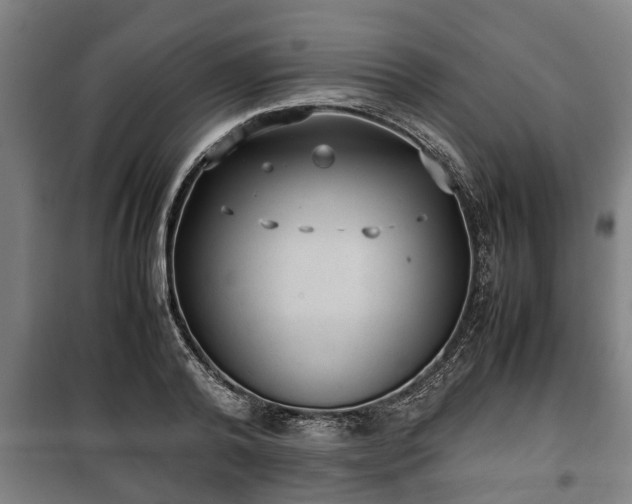 X0000100190792200806061257