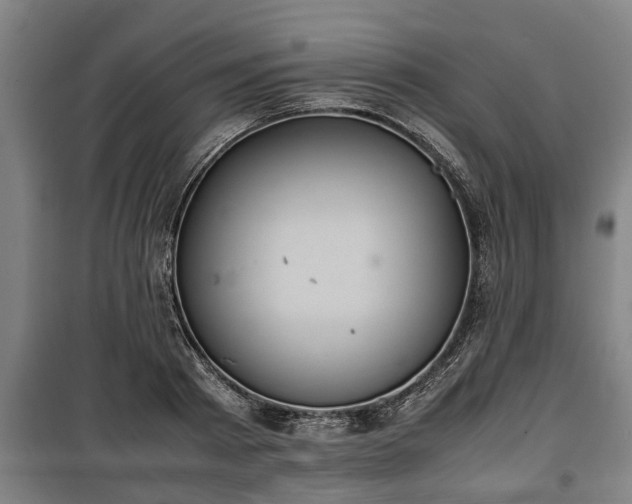 X0000100190793200806061257