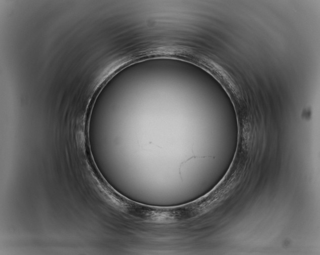 X0000100190794200806061257