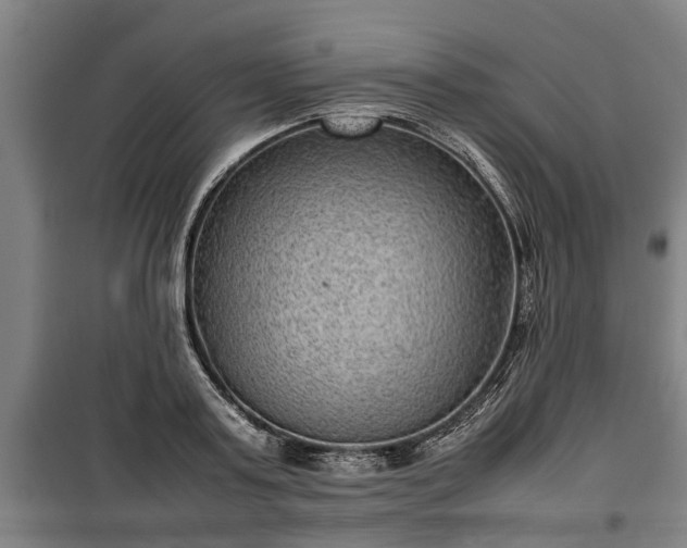 X0000100190795200806061257