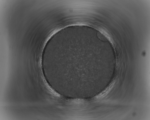 X0000100190797200806061257