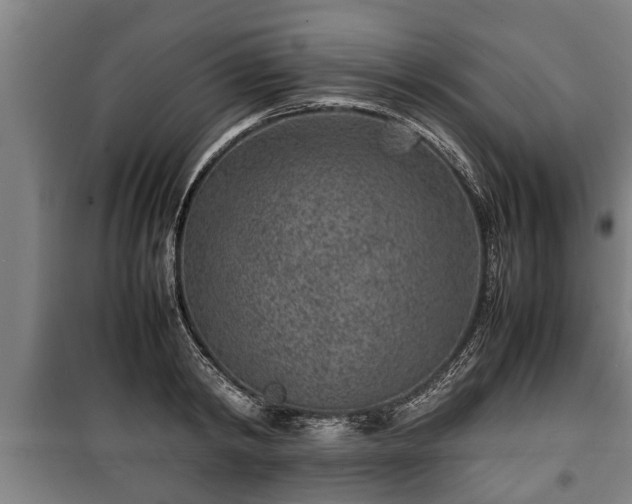 X0000100190798200806061257