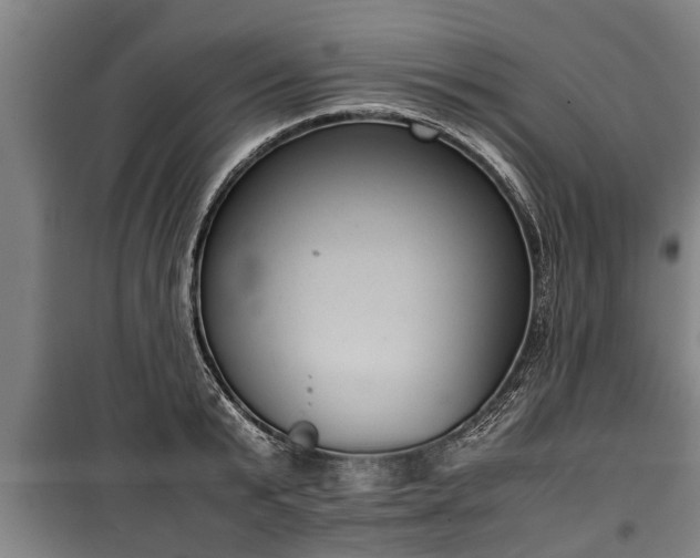 X0000100190799200806061257