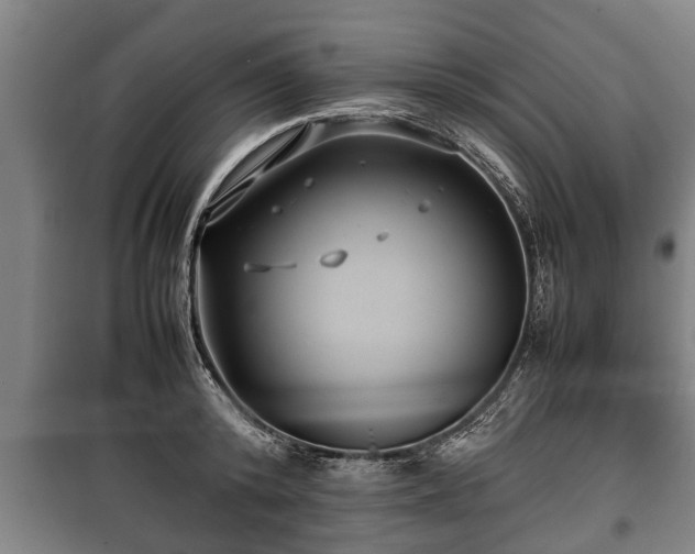 X0000100190800200806061257