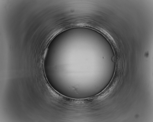 X0000100190801200806061257