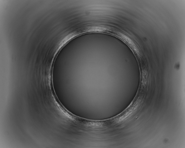 X0000100190802200806061257