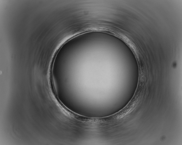 X0000100190803200806061257