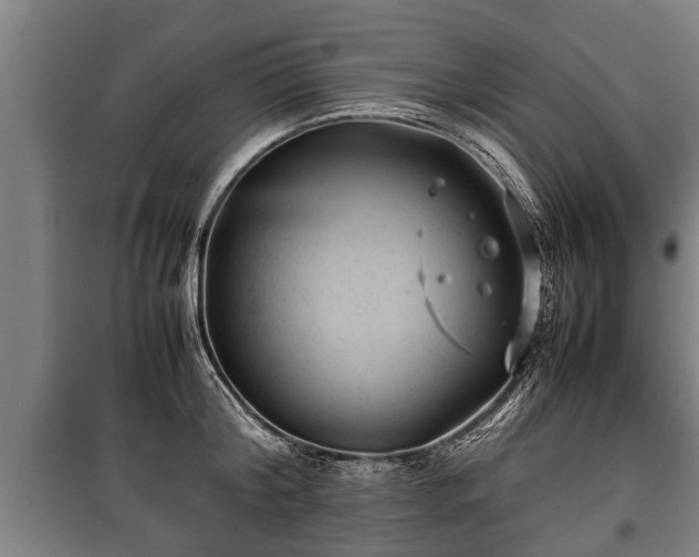 X0000100190804200806061257