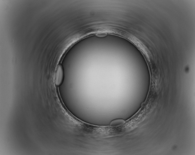 X0000100190805200806061257