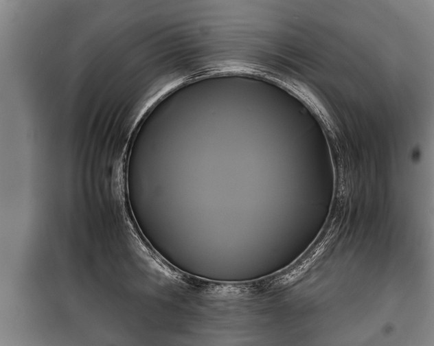 X0000100190806200806061257