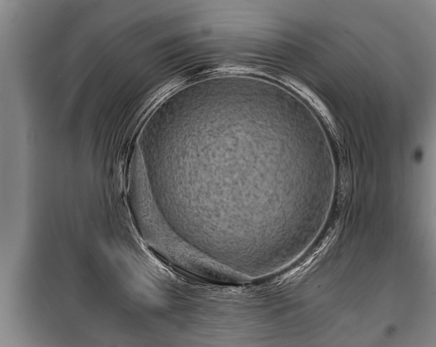 X0000100190809200806061257