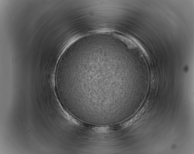 X0000100190810200806061257