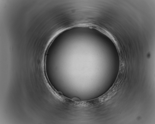 X0000100190811200806061257