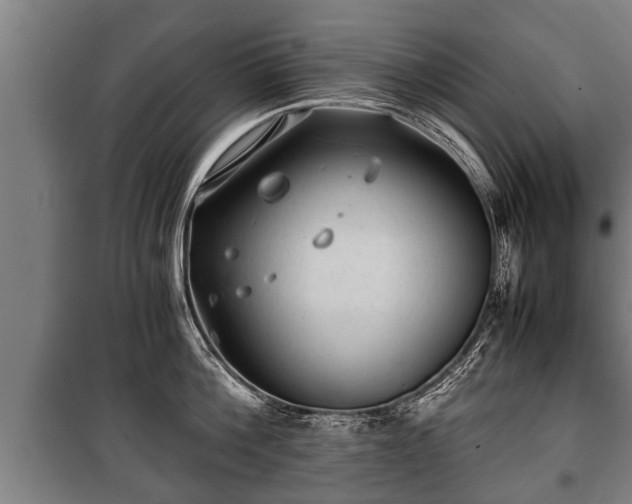 X0000100190812200806061257