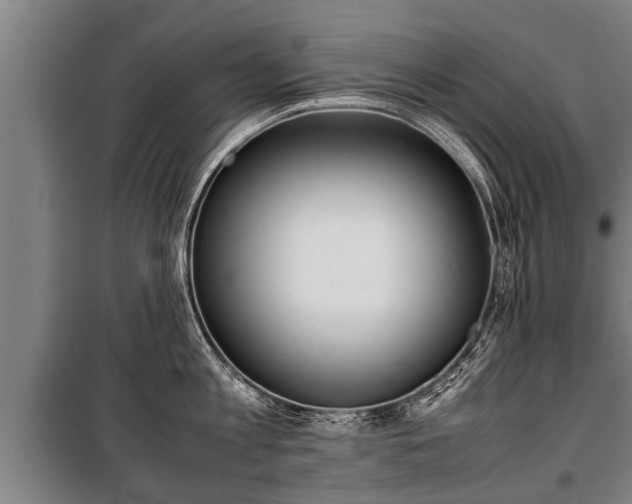 X0000100190813200806061257