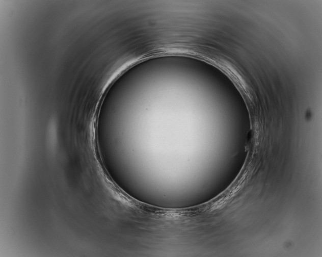 X0000100190814200806061257