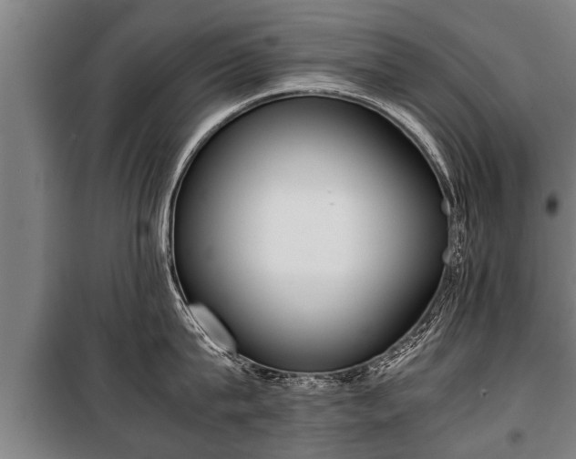 X0000100190815200806061257