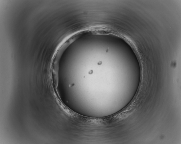 X0000100190816200806061257