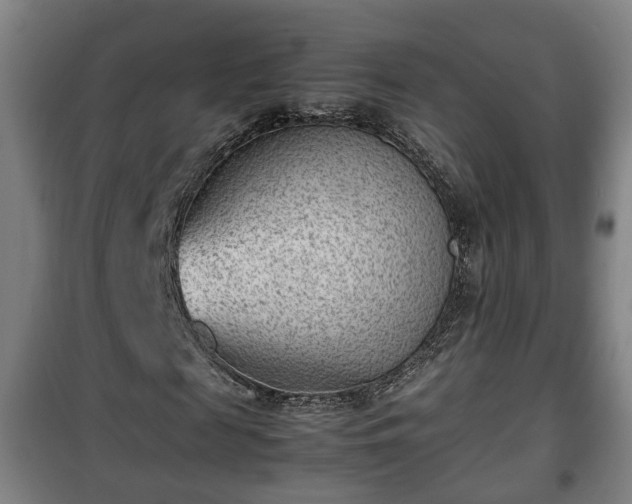 X0000100190817200806061256